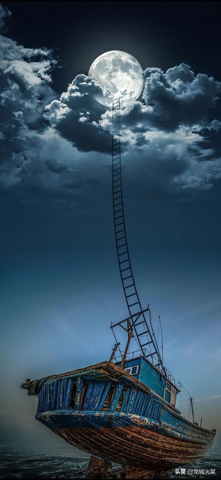 小说推荐竞技言情,竞技文推荐