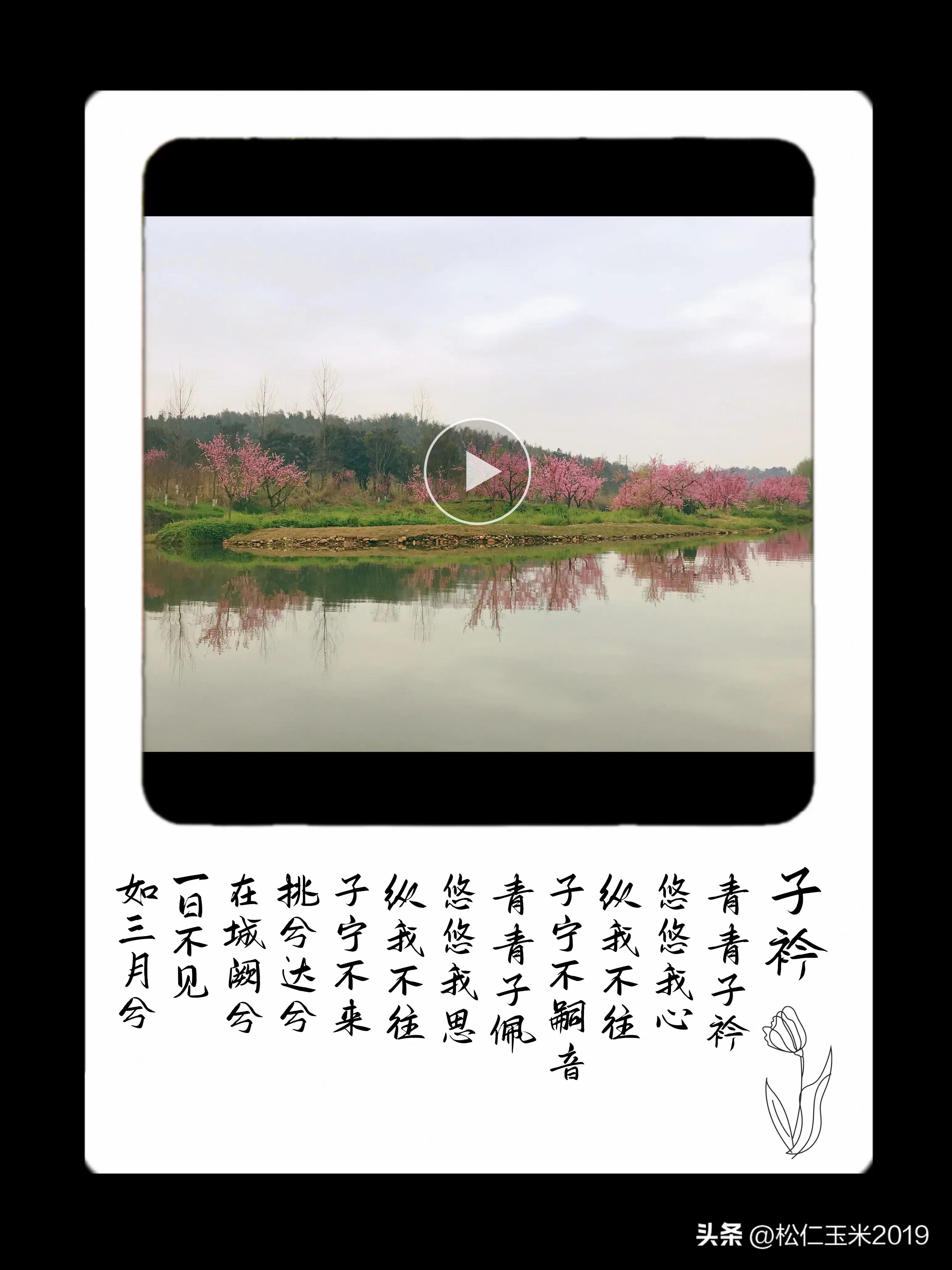 有趣的汉字之“达”101｜挑兮达兮，在城阙兮