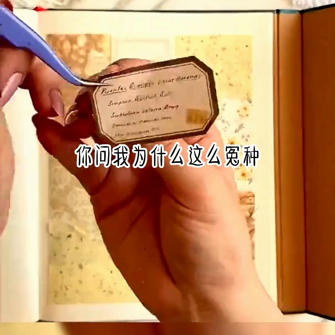 涓嶆祴鑳屽埡,浠拌鑳屽埡