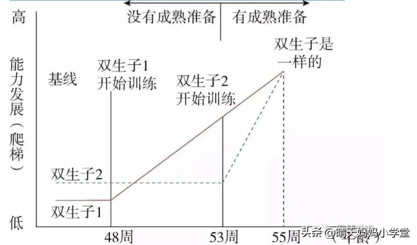海淀妈妈:早培,少年班,是一场教育*局骗**吗?