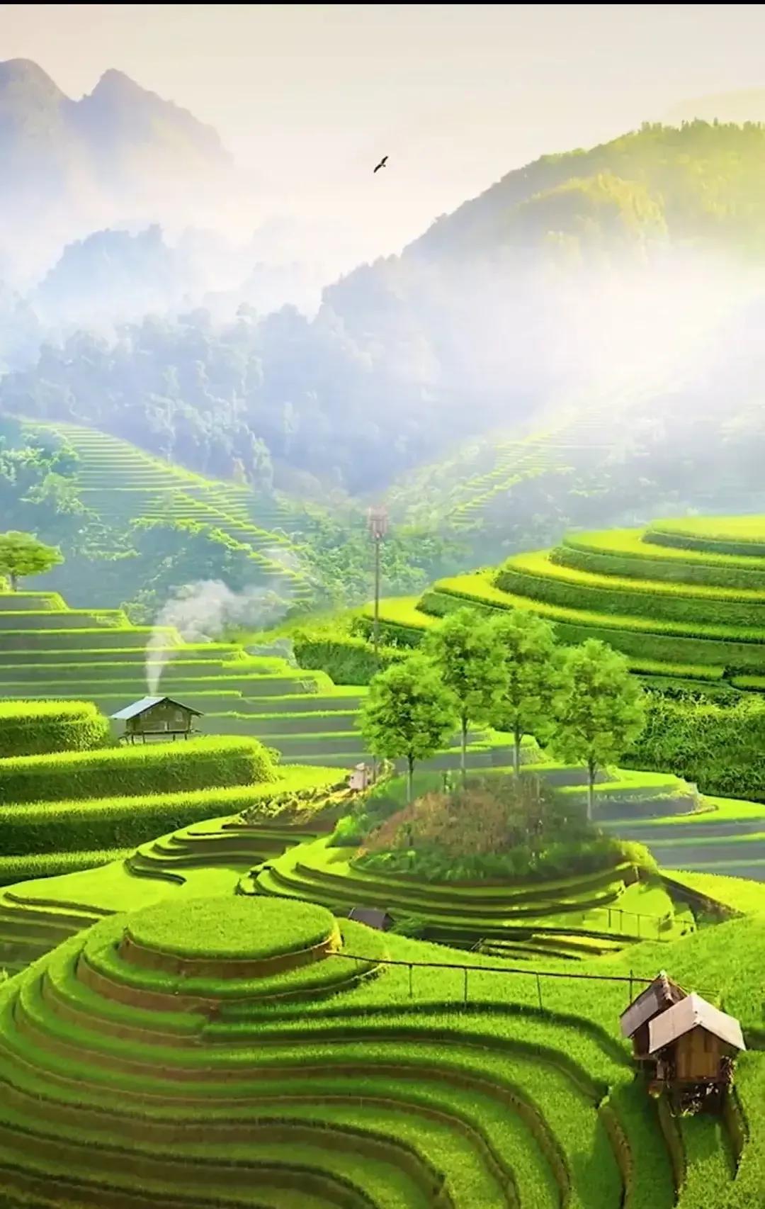 男博士与女导师的柏拉图之恋——回忆我的大学本科生活