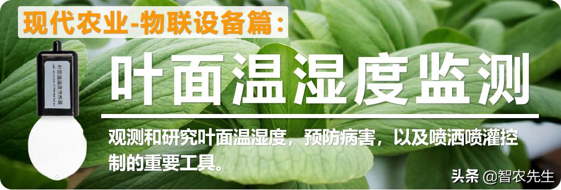 鍐滀笟骞叉棻鐩戞祴浠ュ強鐏屾簤绯荤粺,楂樼簿搴︽俯婀垮害娴嬮噺浠猺otronic