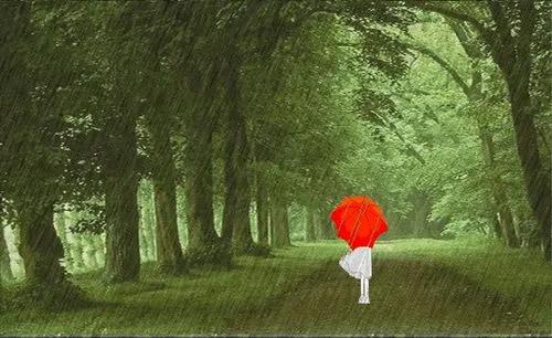 歌词亲爱的你现在在哪里,歌词亲爱的你听见了吗