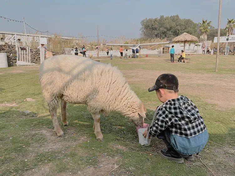 广州番禺适合遛娃吃喝玩乐的地方,周末遛娃好去处广州番禺