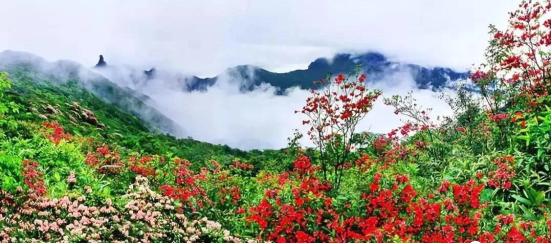 贵州文旅知识趣味挑战大赛决赛,贵州文旅知识趣味挑战大赛奖品