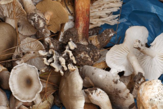 夏季美食避暑胜地,十个避暑胜地带你逃离酷热天气