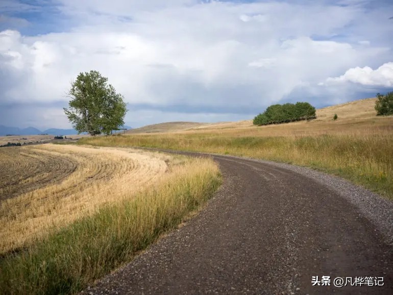 哈苏x2d100c视频,哈苏x2d100c与50c区别