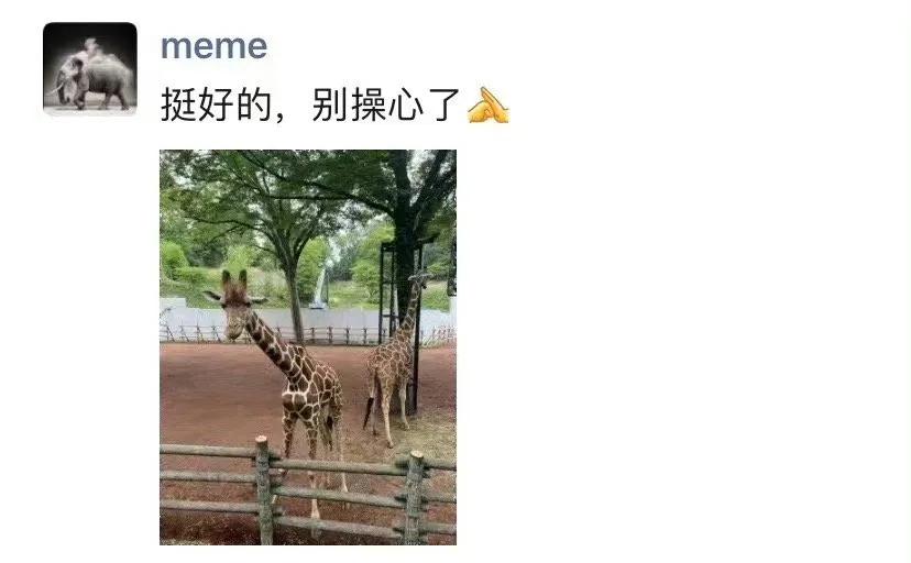 王石和田朴珺多久结婚的,王石和田朴珺离婚