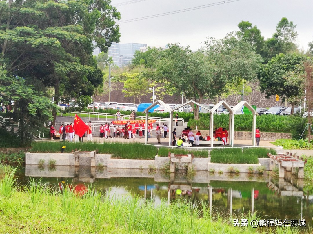 观澜最近翻新过的公园,龙华观澜中心公园