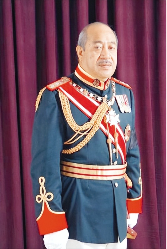 汤加国王放弃权力,汤加国王坐宝座