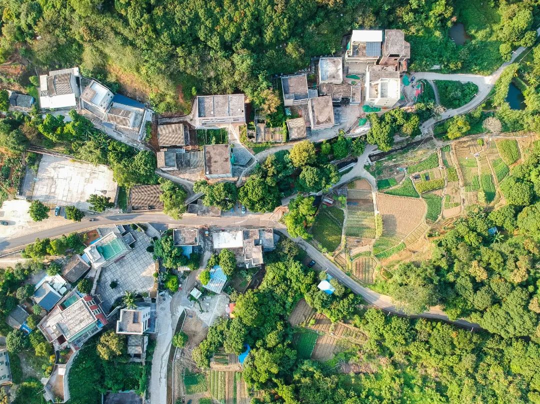 14号地铁有没有到坪山高铁站,坪山14号线转10号地铁图