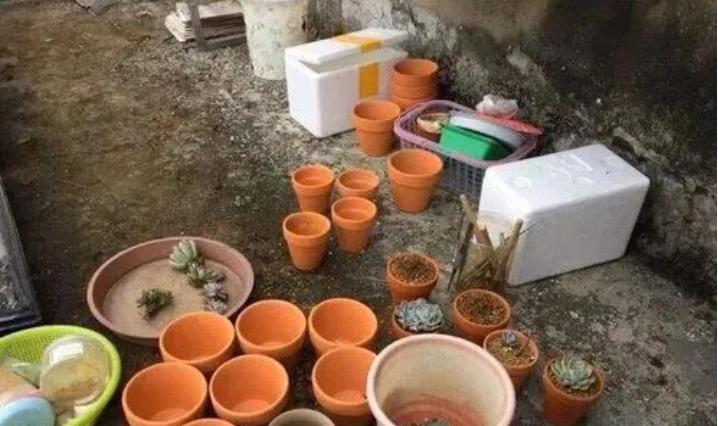 养花时花盆底下的小洞可以堵上吗,花盆下面垫个塑料盆会烂根吗