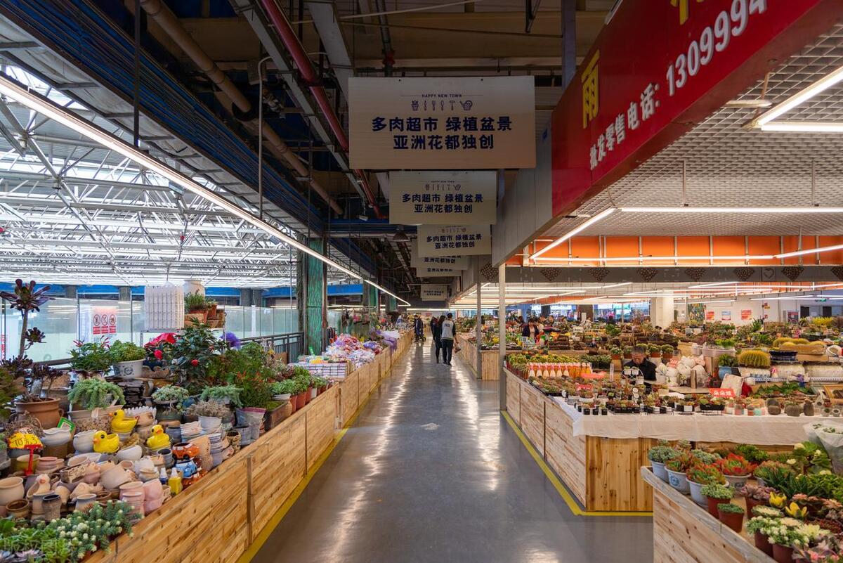 为什么说昆明是旅游的中转站,昆明作为中转站岂能错过美景