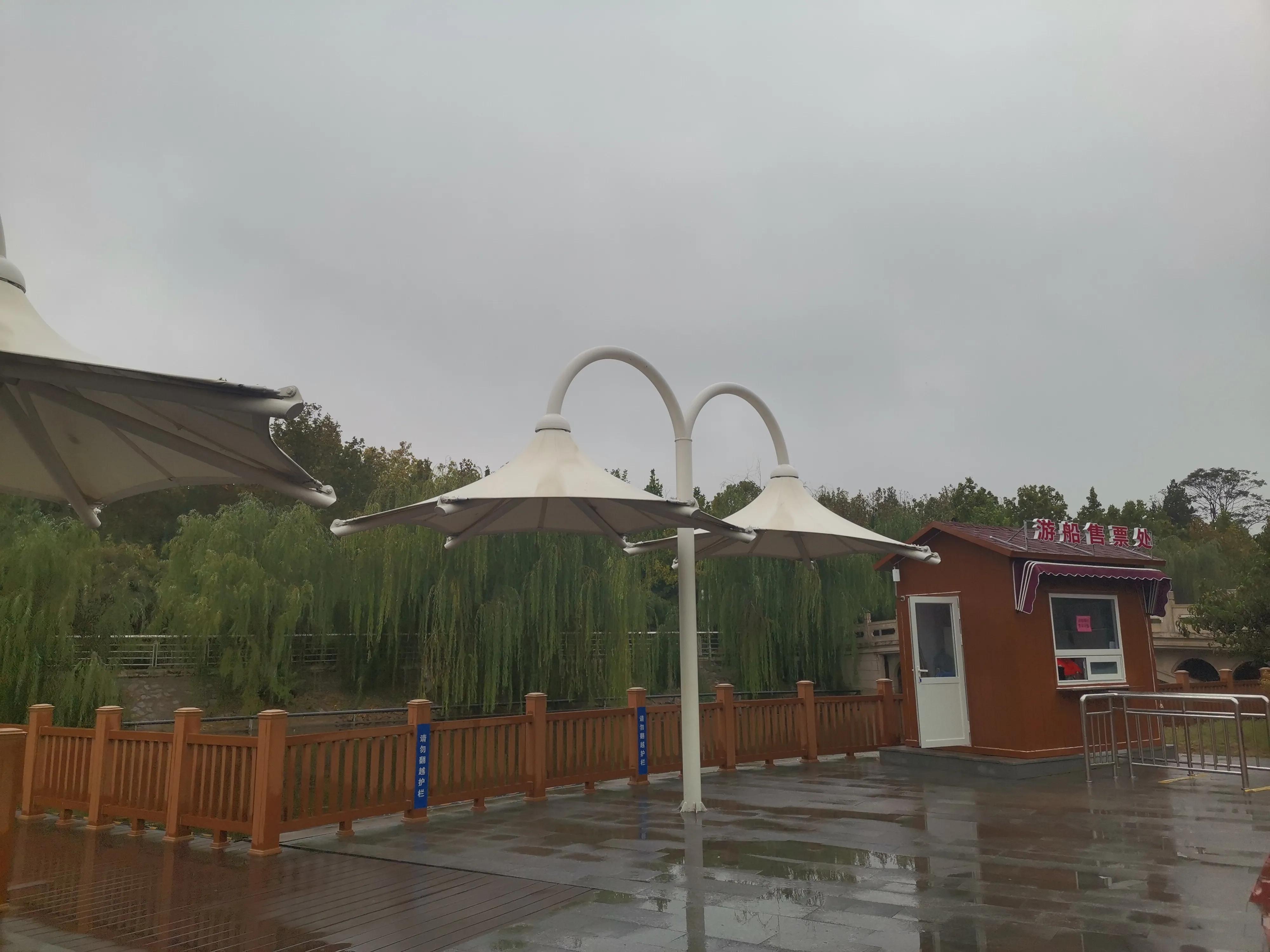 冬季的天津公园景色,秋雨绵绵雾蒙蒙下一句