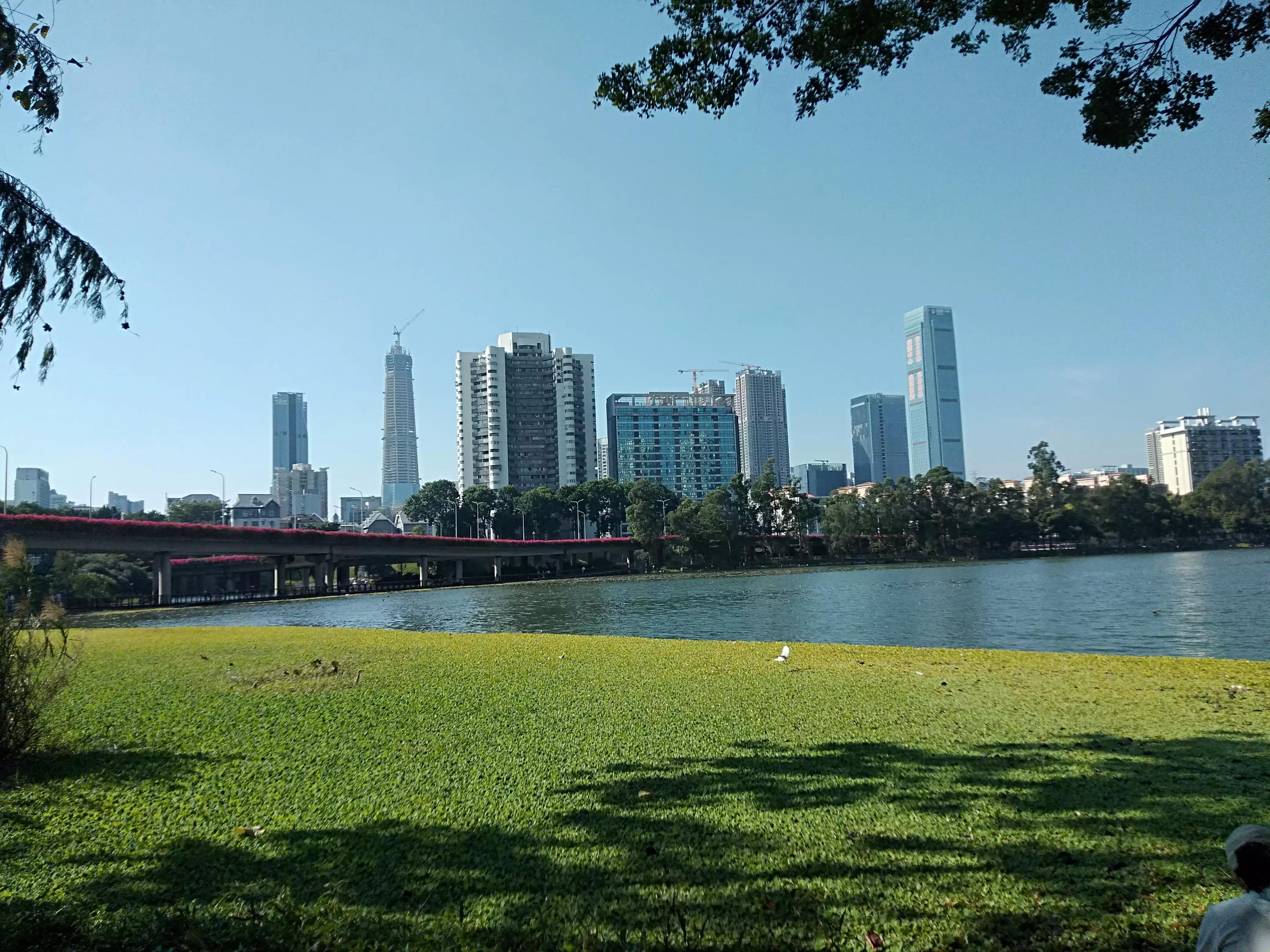 深圳洪湖公园冬季景色,冬天的洪湖公园