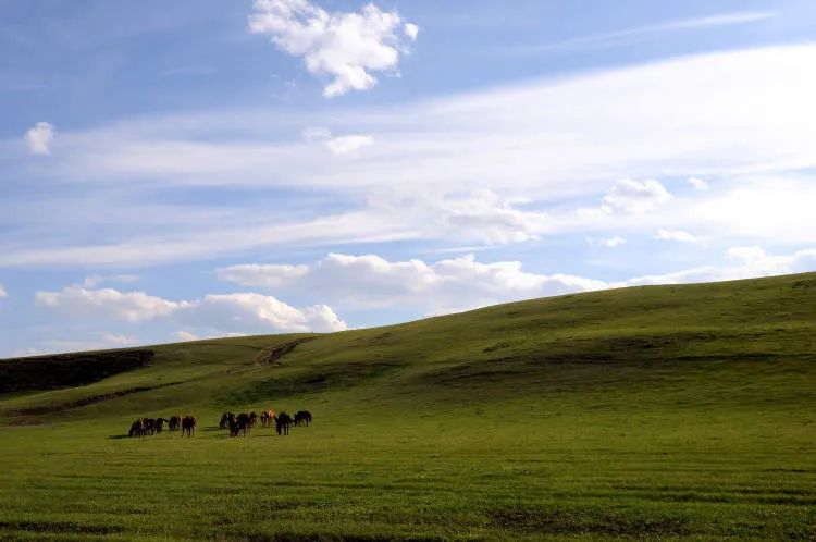 非凡十年乡村振兴,鄂温克旗三年规划