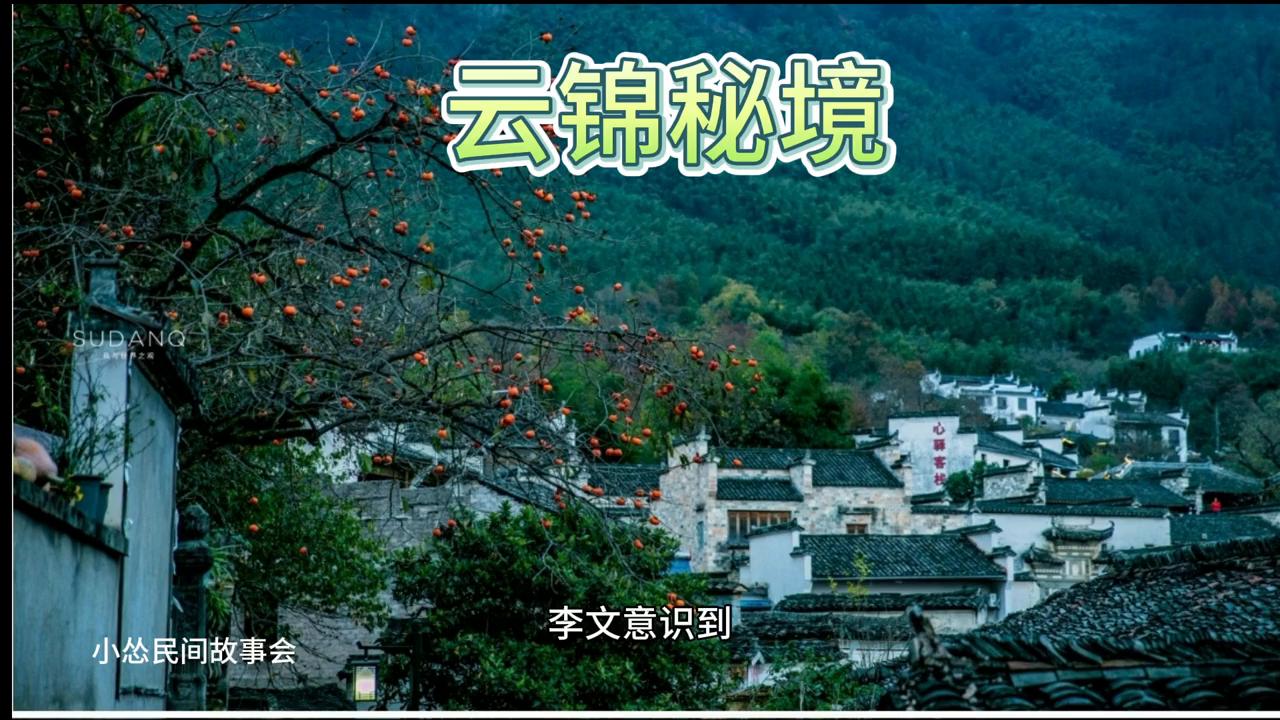 中视频伙伴计划入口,中视频伙伴计划官方