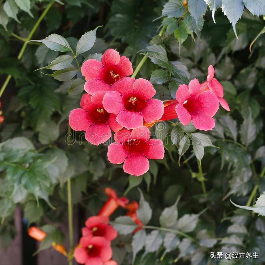 手指湿疹合并汗疱疹,湿疹和疱疹同时有怎么治疗