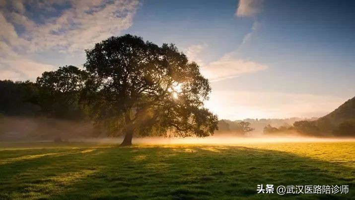 武汉同济这对母子情深故事，感动网友！