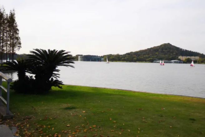 上海月湖雕塑公园好不好玩,上海月湖雕塑公园周边