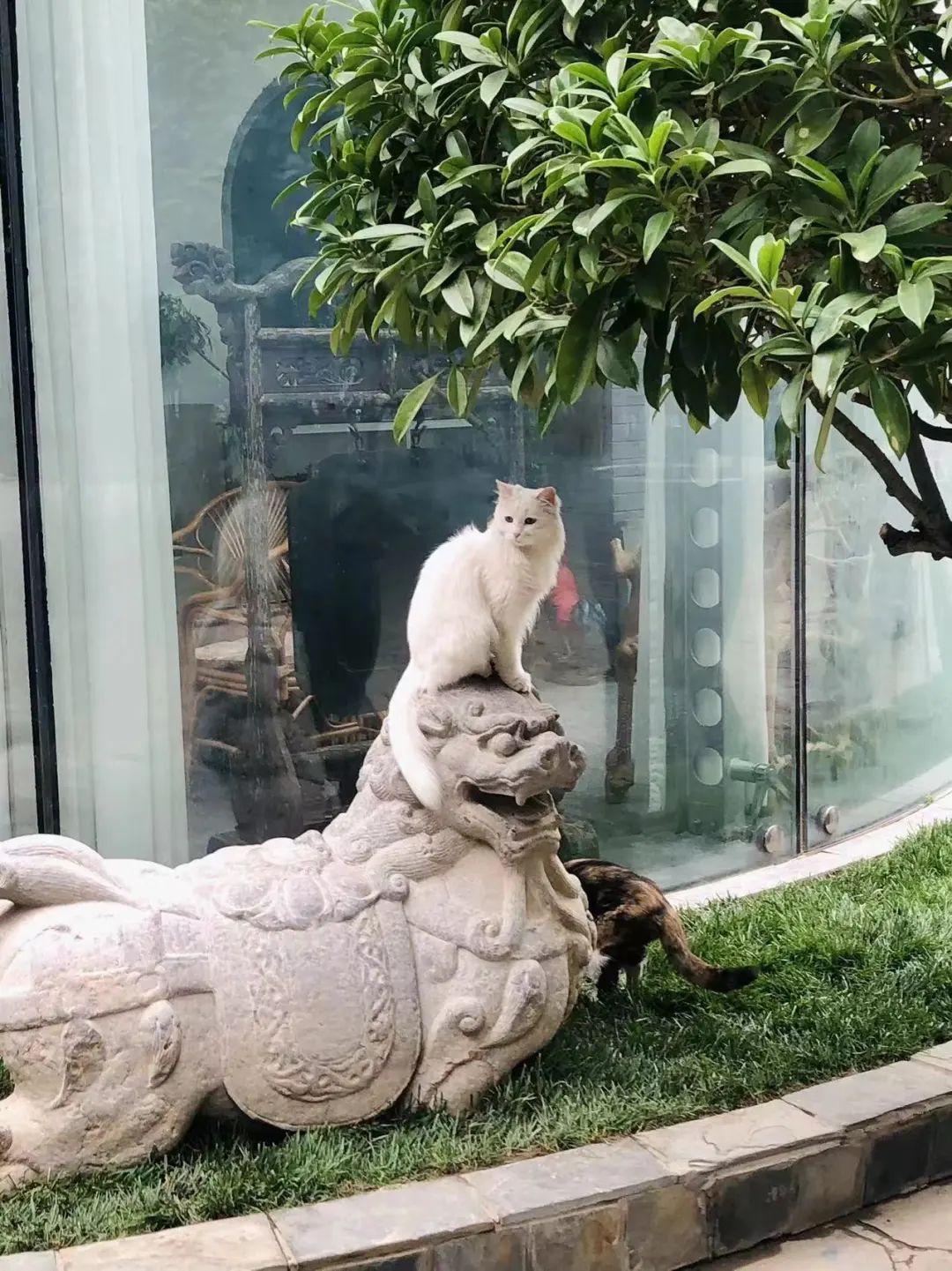 赵明明：上班摸鱼，是我的梦想!