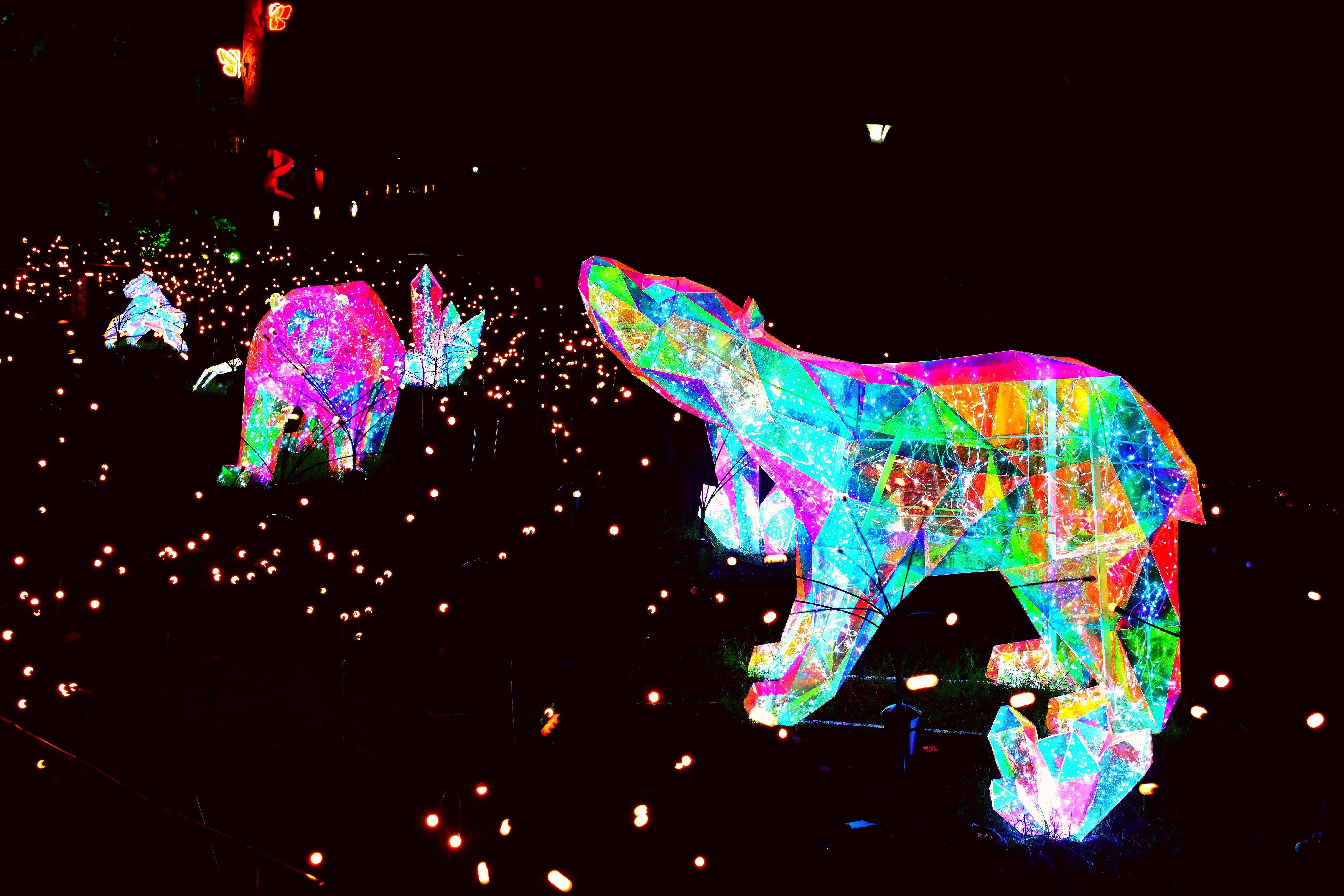 无锡动物园夜公园游玩攻略,无锡动物园攻略