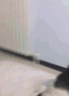 搞笑gif趣图姑娘你怎么这么凶啊,趣图搞笑美女