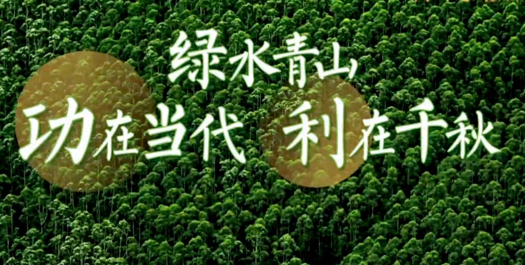 65年前中国如何划定海界？毛主席：大炮射程之内即为中国领海