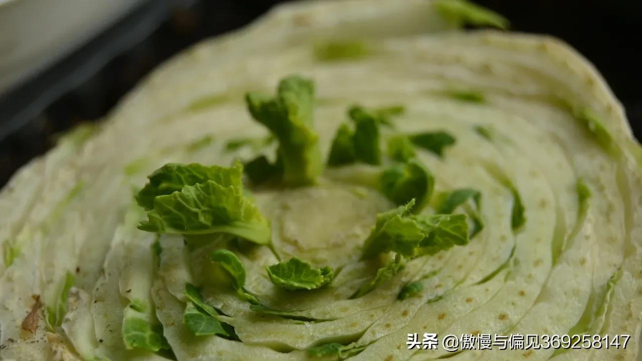 疫情期间家里没菜怎么办,因为疫情吃不到蔬菜怎么办