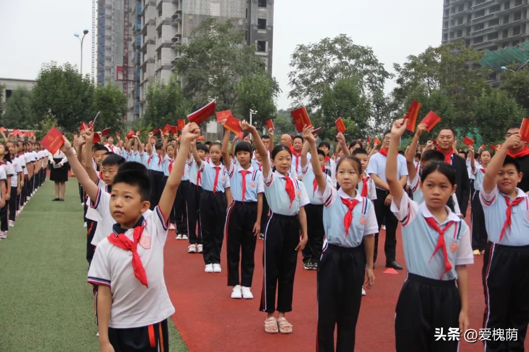 槐荫大金小学,槐荫区大金小学片区
