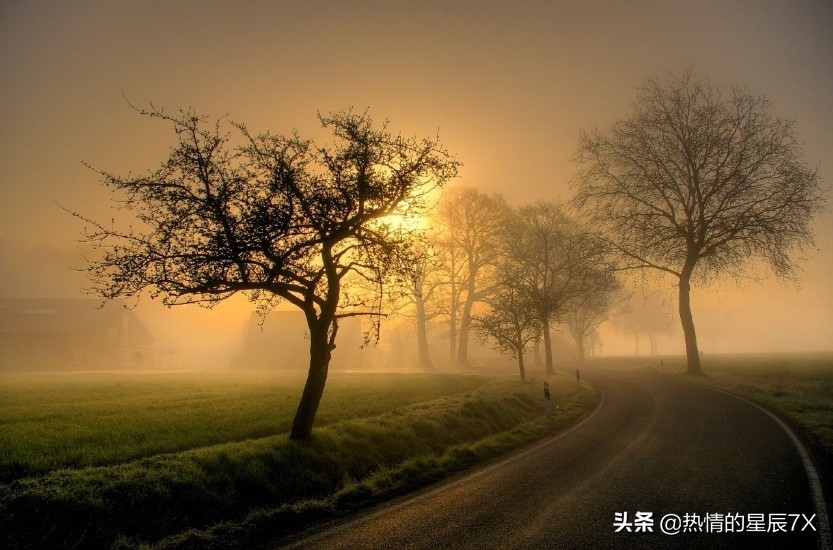 读经典品百味人生,读经典语录悟坎坷人生