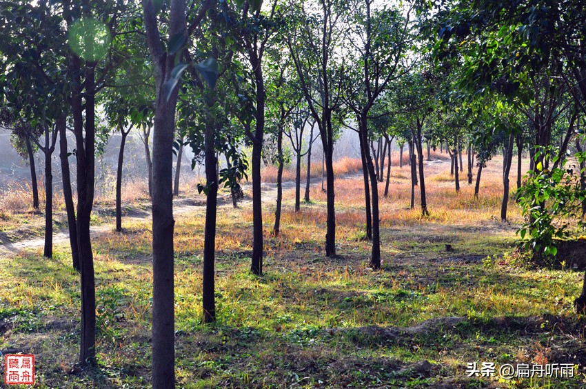 7月郑州凉快遛娃公园排行榜,郑州龙子湖避暑遛娃的地方