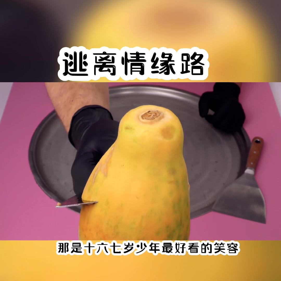 逃离情缘路#文荒推荐