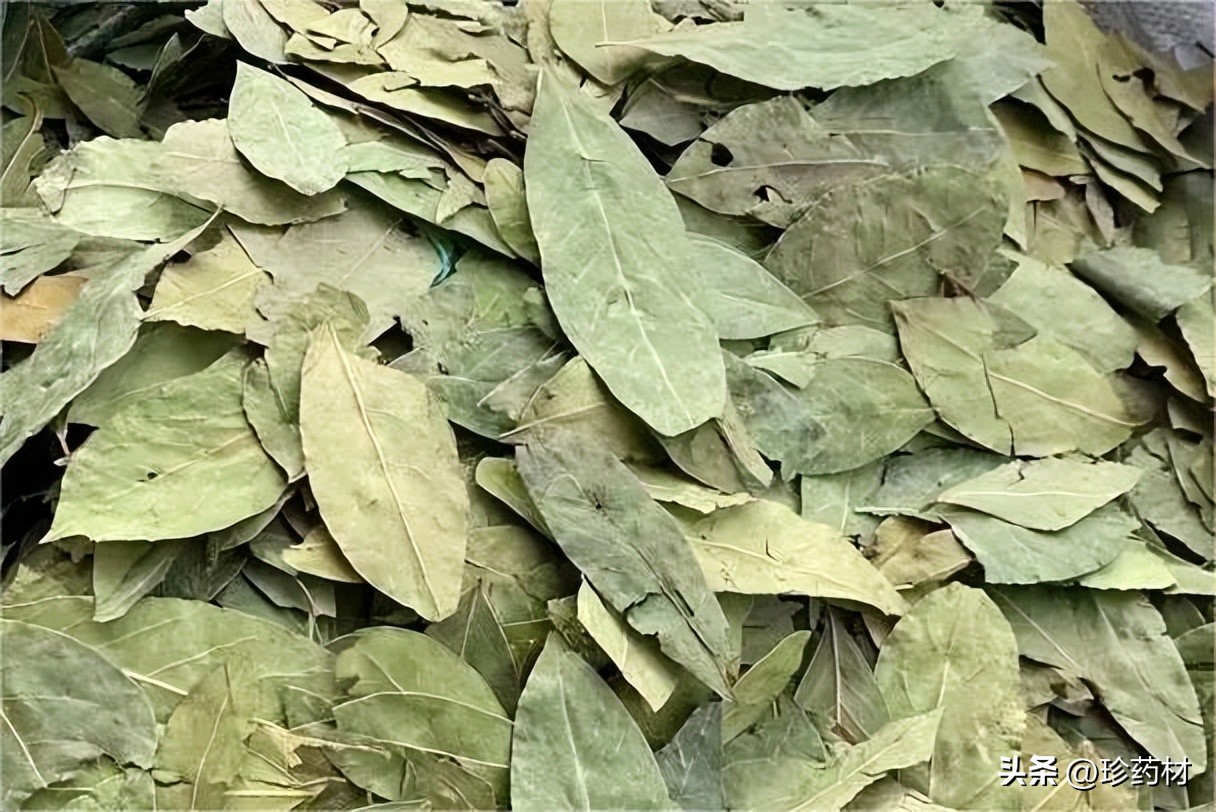 12月5日中药材市场快讯：白及、隔山撬、木香、白芍、北沙参等