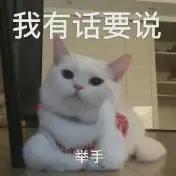 哪种猫招财好养活,哪种猫最招财又好养