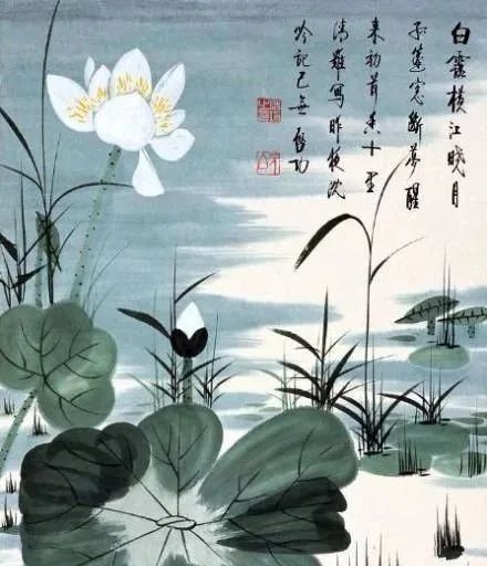 启功荷花作品欣赏,启功《荷上花帖》