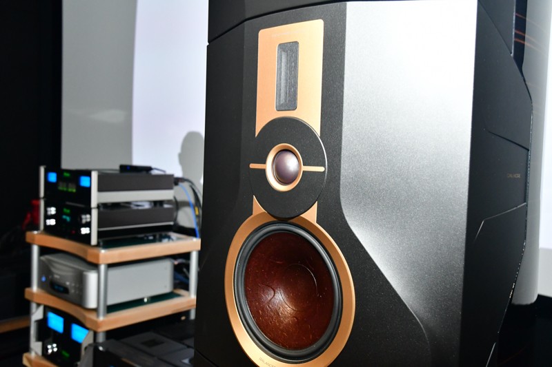 dali kore 君临音箱试听 (达尼dali kore君临多少钱)