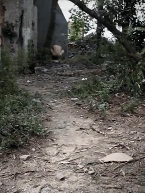 閲忓瓙鍔涘杞欢鎺ㄨ崘,閲忓瓙鍔涘杞欢