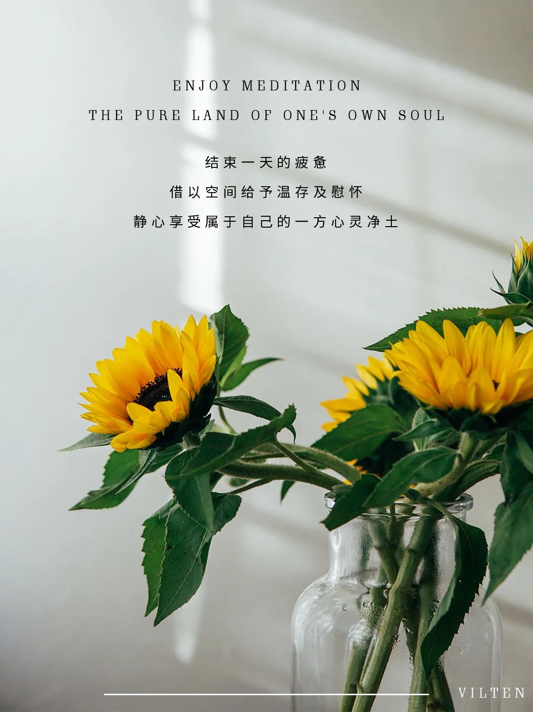 小v推荐秋冬,小v个性化推荐服务