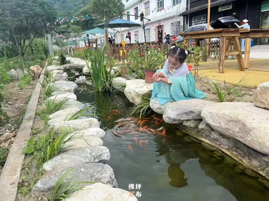 王家坪乡村旅游,佛坪县打造旅游景区