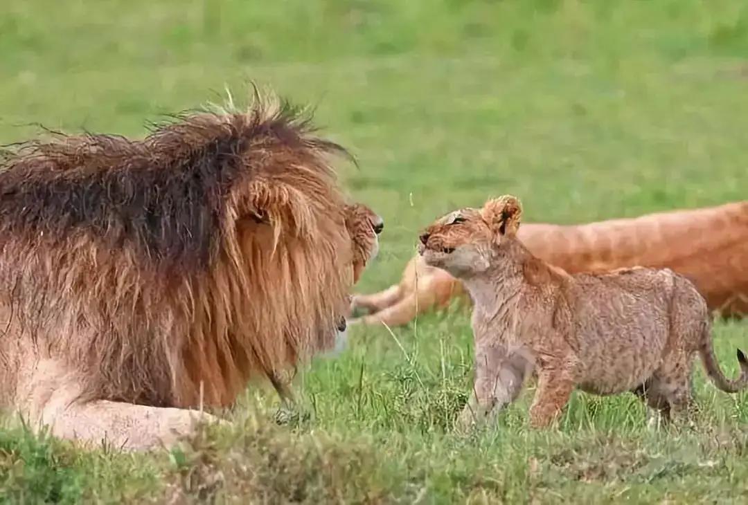 遇到不讲道理的人怎么处理,遇不讲道理的人应怎么处理