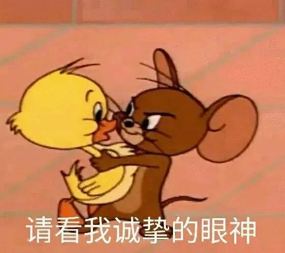 背景图唯美治愈高级感,背景图ins高级感唯美