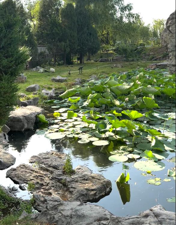 暑期实践日志200字,暑期实践日志十五篇大学生