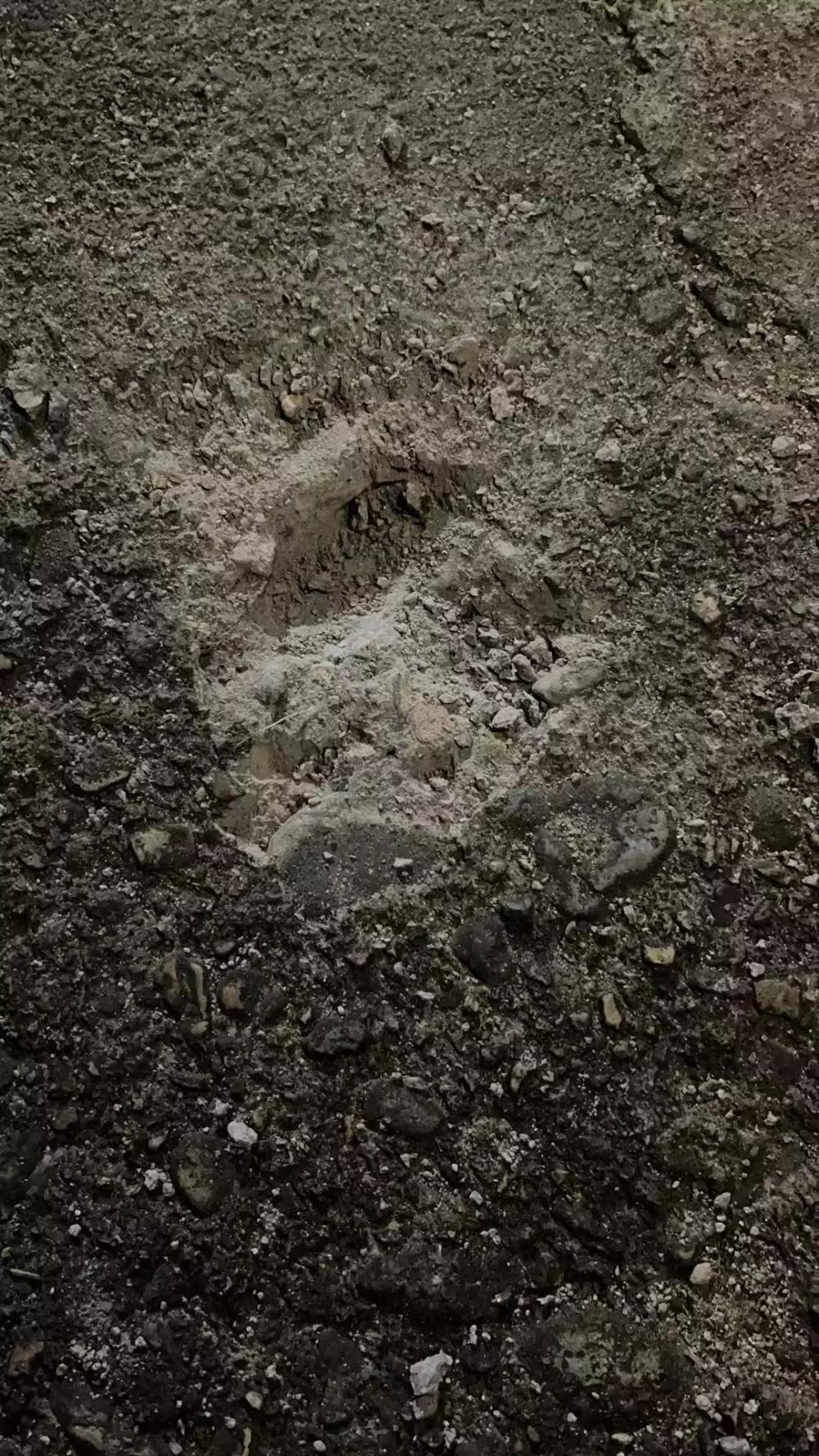 浙江坠落陨石是什么陨石,陨石在天空爆炸神秘事件