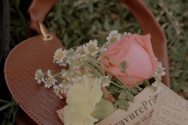 我的妈妈是位豪门保姆70集,我的妈妈是位豪门保姆08