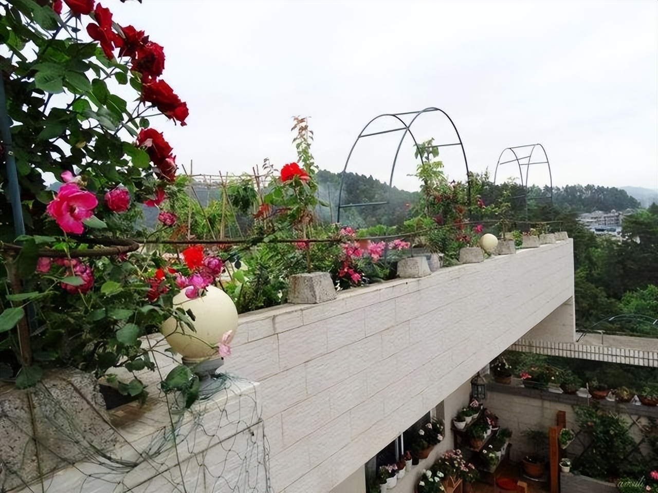 楼顶露台养花夏季怎么养,顶楼露台养花最佳方案