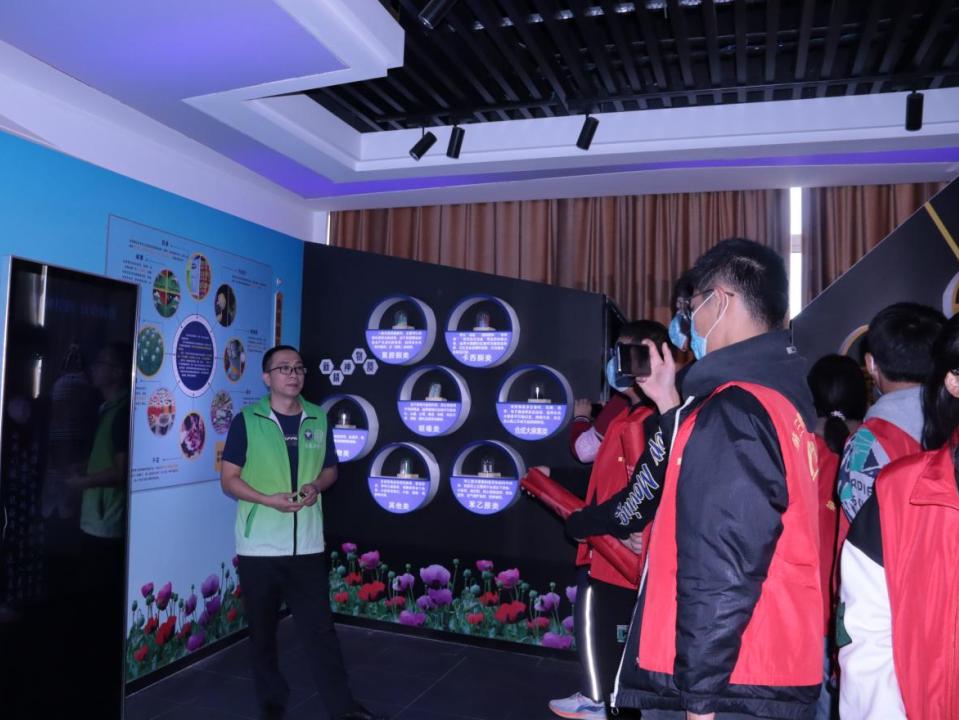 禁毒绘画全国一等奖剪纸,禁毒主题剪纸参赛