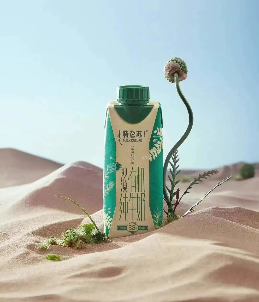 80个收藏级本土高端品牌，你都知道吗？