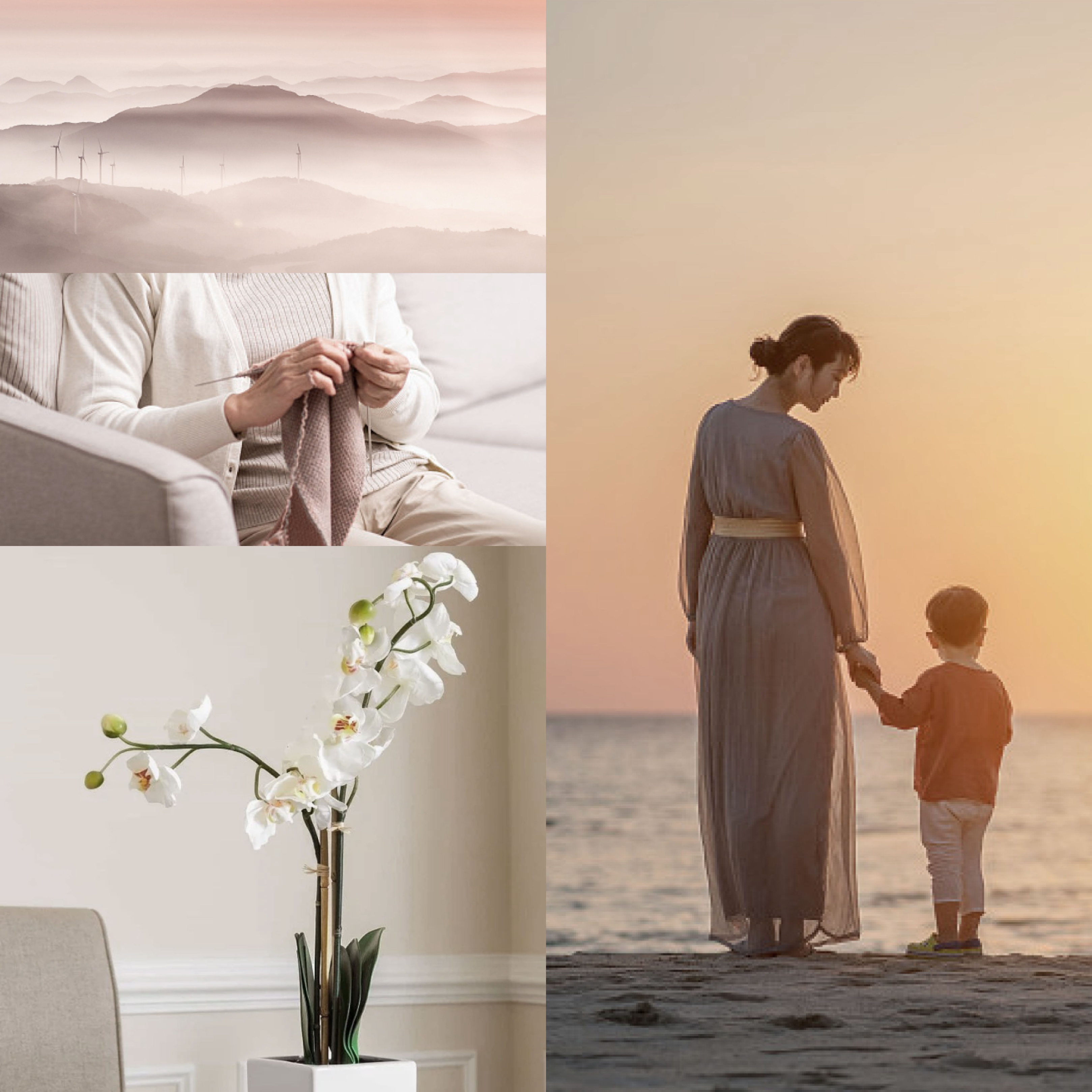 东方母婴十月结晶多少钱,东方母婴十月结晶恒温壶