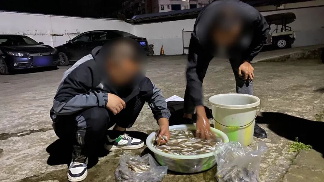 一晚电鱼600多条！万州3名“捕鱼达人”被抓现行